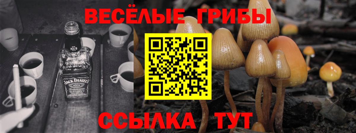 Псилоцибиновые грибы GOLDEN TEACHER Магадан